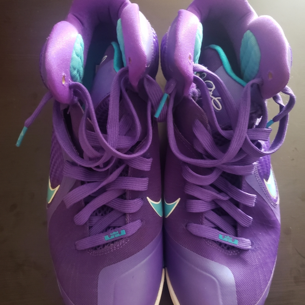 LeBron 9 Hornets
